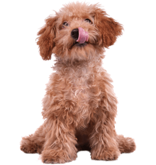 iStock 157695193